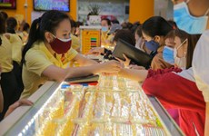 今日上午越南国内市场黄金价格每两在5500万越盾以上