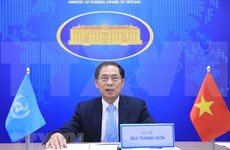 越南与联合国安理会：促进多边合作以便解决公共事务
