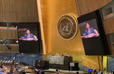 越南与联合国安理会：越南选择的三个优选事项符合外交路线