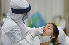 12日下午越南新增30例新冠肺炎确诊病例