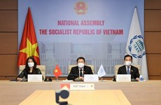 越南出席国际和平与安全常务委员会会议
