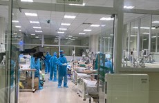 新冠肺炎疫情：越南新增一例死亡病例 主要死因为脑外伤和并发化脓性脑膜炎
