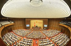 国会代表和人民议会代表选举：德国媒体高度评价越南国会在国家发展中的作用