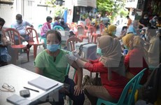  新冠肺炎疫情：印尼加大中国新冠疫苗进口力度