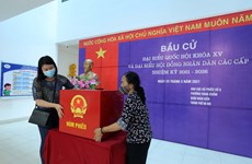 中国驻越大使高度评价越南选举筹备工作