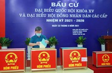 越南第十五届国会代表和2021-2026年任期各级人民议会代表选举正式开始