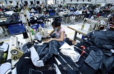 越南工贸部建议企业主动制定向欧亚经济联盟出口计划