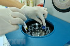 北江省新增300多例确诊病例 越南卫生部就此召开紧急会议