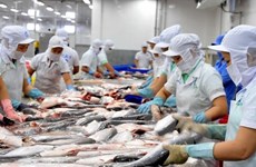 越南查鱼对俄罗斯出口释放积极信号