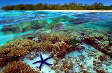 保护海洋 促进可持续生计