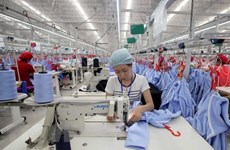 英国经济专家对越南经济增长展望持乐观态度