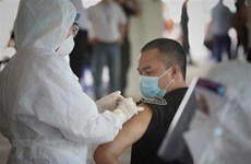 越南外交部发言人：加速谈判 寻找新冠疫苗供货源