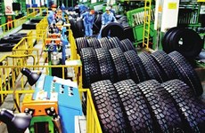 工贸部努力保护越南轮胎生产企业的权益