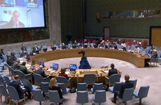 越南与联合国安理会：越南呼吁促进恢复巴勒斯坦问题谈判