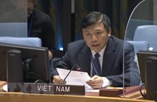 越南与联合国安理会：越南主持召开联合国安理会国际法院非正式工作组会议  承诺促进对话进程