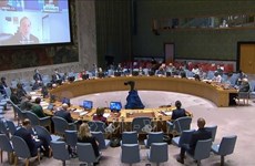 越南与联合国安理会：从性别角度看促进萨赫勒和平与安全问题 