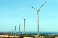 亚行为越南三座风电场提供1.16亿美元的绿色贷款
