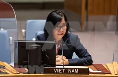 越南与联合国安理会：越南敦促有关各方进行对话 解决有关Safer号油轮的分歧
