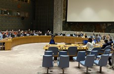 越南与联合国安理会：越南支持不扩散大规模杀伤性武器