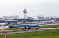 6月5日起暂停往返昆岛的所有客运航班   广宁和嘉莱往返胡志明市的航班也暂停运营