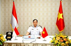 越南和印度尼西亚海军努力提高协同能力