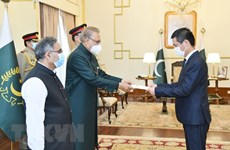越南希望进一步加强与巴基斯坦的合作关系