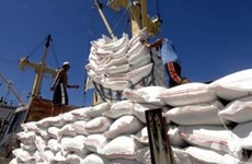 大米出口有望在今年年底增长