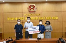 旅居捷克和英国越南人助力国内同胞抗击疫情