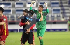 2022年世界杯预选赛：亚洲媒体相信越南队将闯进最后一轮比赛
