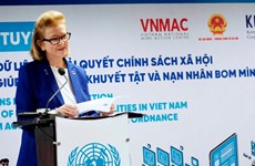 为协助越南地雷受害者和残疾人提供数字解决方案