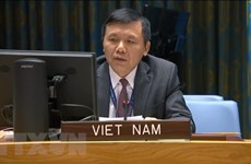 越南与联合国安理会：越南呼吁马里加强民族和谐和推进过渡进程