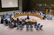 联合国安理会就苏丹、索马里和戈兰高地形势召开会议