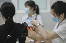新冠肺炎疫情：旅居澳大利亚越南人为越南抗击疫情贡献力量