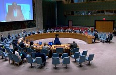 越南与联合国安理会：越南继续为联合国南苏丹特派团的活动作出积极贡献