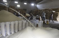 越南工贸部就来自印度的大米进口量突增展开调查