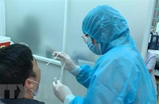 德国援助的19万套新冠病毒检测试剂盒已运抵越南