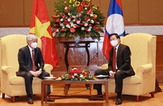 老挝人革党中央总书记、国家主席通伦会见越南祖国阵线中央委员会主席杜文战