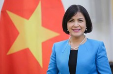 越南支持贸发会议帮助发展中国家促进可持续复苏 