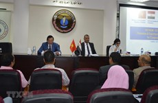 越南与埃及加强贸易和旅游的合作
