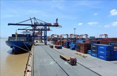 越南航海局提议对自行收取各类费用的外国航运公司采取处置措施