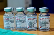越南外交部例行新闻发布会：越南希望各国加强新冠疫苗信息共享
