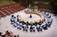 越南与联合国安理会：越南敦促解决西非和萨赫勒地区的安全和人道主义挑战