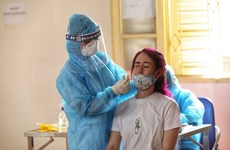 11日越南新增近2000例新冠肺炎确诊病例  新增4例死亡病例