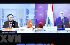 越南国会主席王廷惠与匈牙利国会主席克韦尔•拉斯洛进行线上会谈