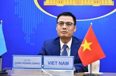 越南一向重视并充分参与联合国人权理事会普遍定期审议程序