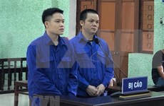 高平省2名男子因组织他人偷越国境获刑20年零6个月