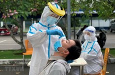 胡志明市呼吁旅外越南侨胞为该市新冠疫情防控工作献计献策