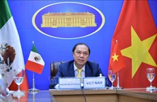 越南与墨西哥第六次政治磋商以视频形式举行