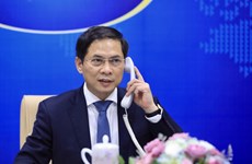 越南外交部部长裴青山与法国欧洲与外交部部长勒德里昂通电话
