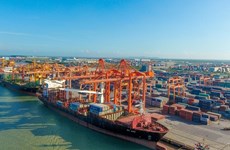 疫情冲击之下越南海港货物吞吐量仍保持稳定增长势头